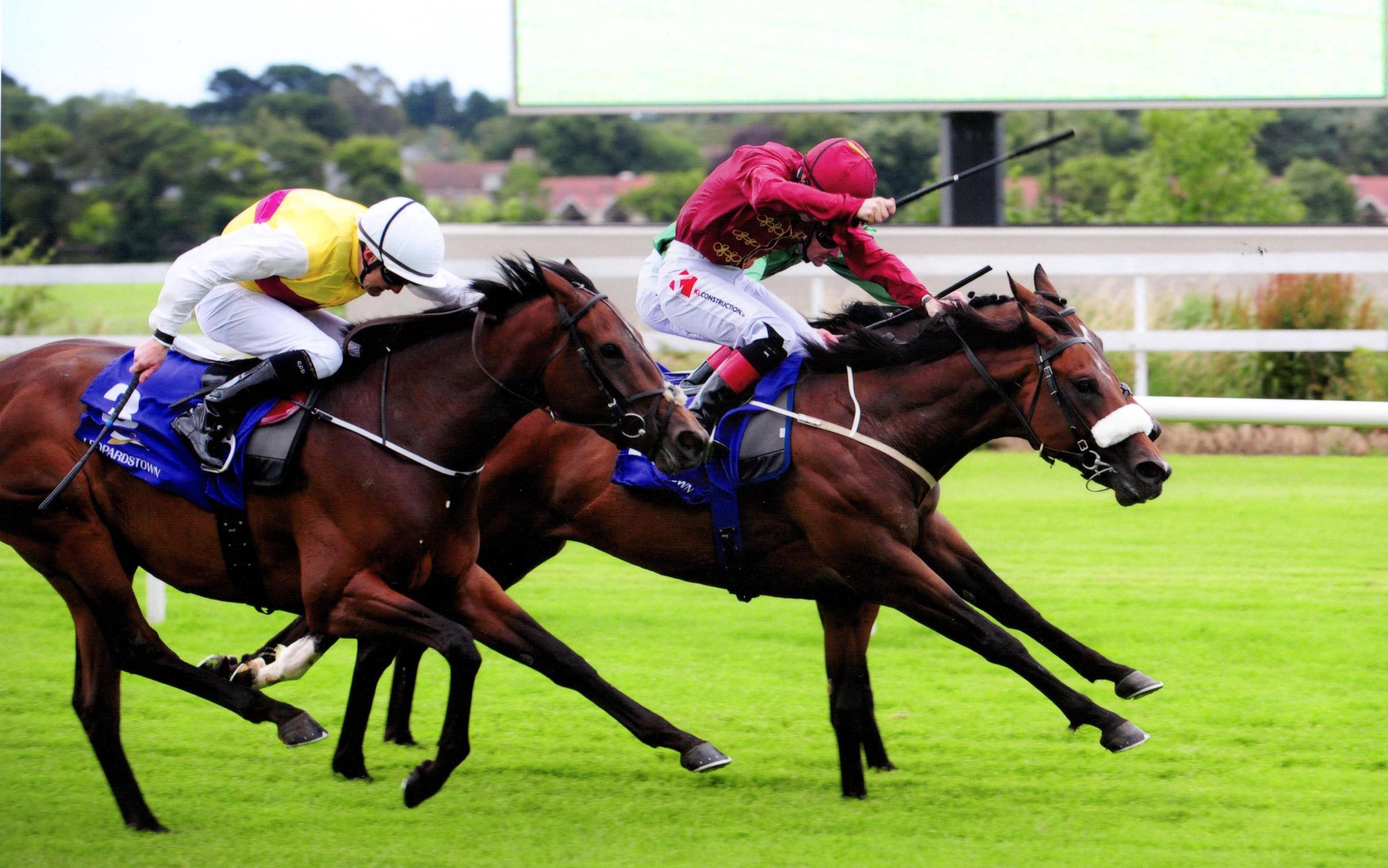 LIGHTENING FAST bounces back at Leopardstown 13th July 2017